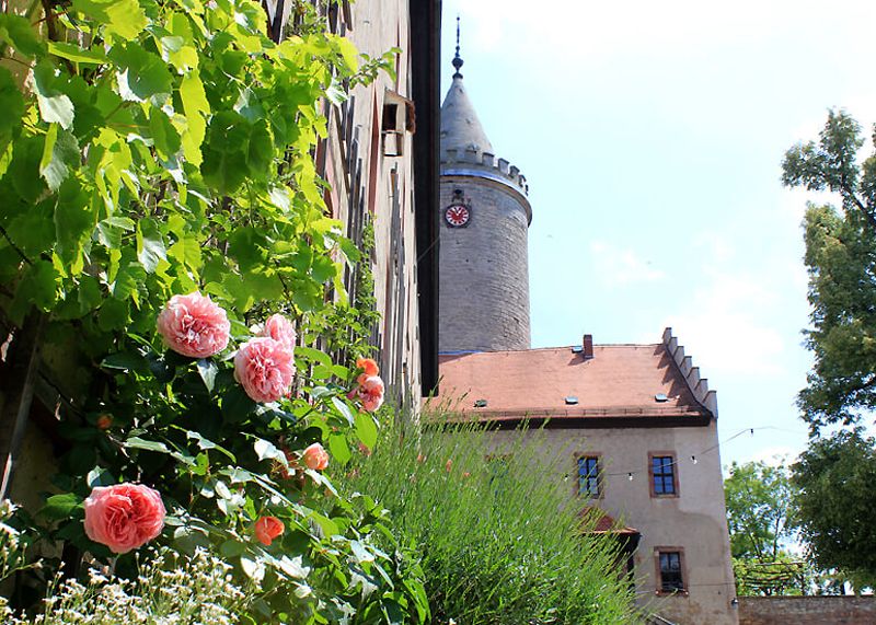 Der „Frühlingszauber“ auf der Leuchtenburg ist wieder bis zum 11. Mai zu sehen.